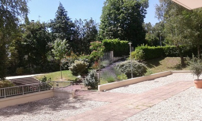 Sophores4